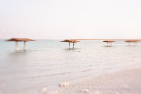The Dying Dead Sea 3