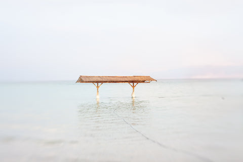 The Dying Dead Sea 7