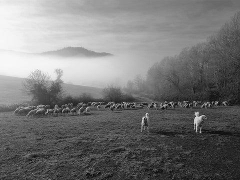 Toscana d'Inverno 23