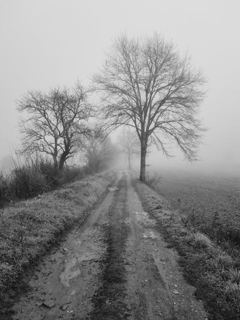 Toscana d'Inverno 22