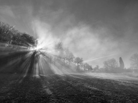 Toscana d'Inverno 19