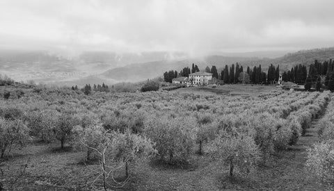 Toscana d'Inverno 18