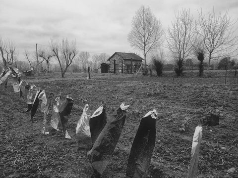 Toscana d'Inverno 17