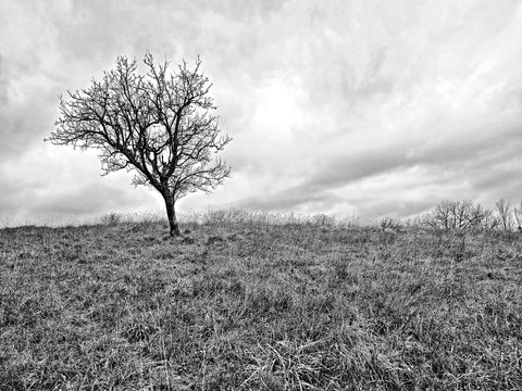 Toscana d'Inverno 16