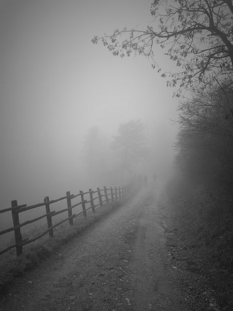 Toscana d'Inverno 15