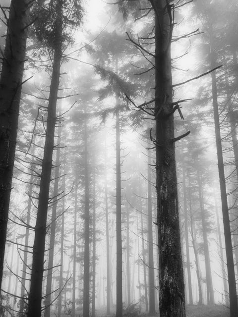 Toscana d'Inverno 14