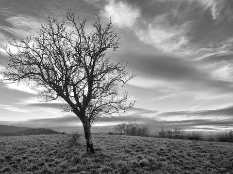 Toscana d'Inverno 10