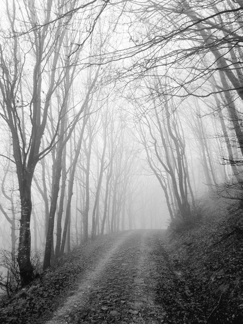 Toscana d'Inverno 7