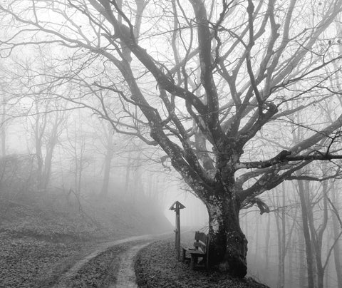 Toscana d'Inverno 6