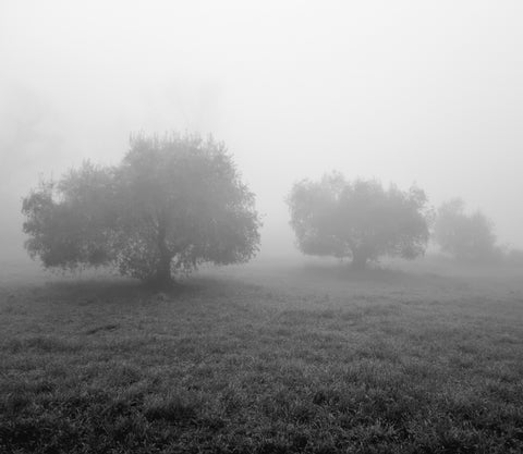 Toscana d'Inverno 4