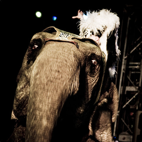 Circus #11 2